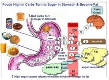 &quot;Hcg Diet Dessert Recipes