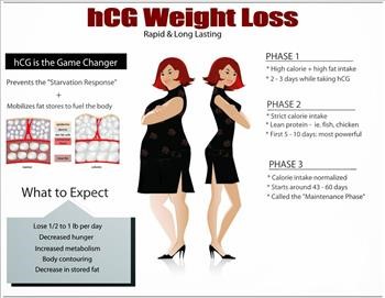 &quot;Healthy Hcg Recipes Phase1