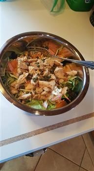 &quot;Hcg Recipes Chicken Salad