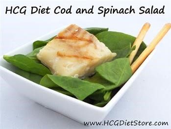 &quot;Easy Hcg Phase 3 Recipes First 3 Words