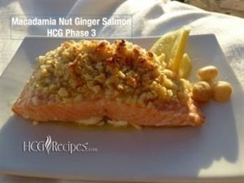 &quot;Hcg Phase 3 Recipes And Food List