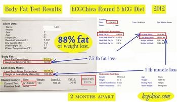 &quot;Hcg Approved Food List Phase 2