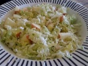 &quot;Cabbage Hcg Recipes