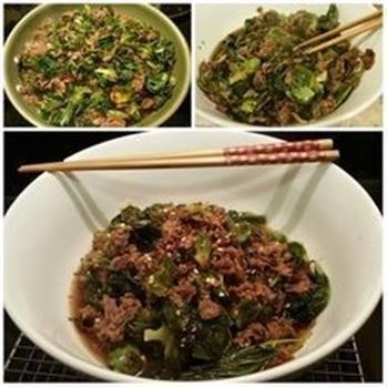 &quot;Hcg P2 Beef Recipes