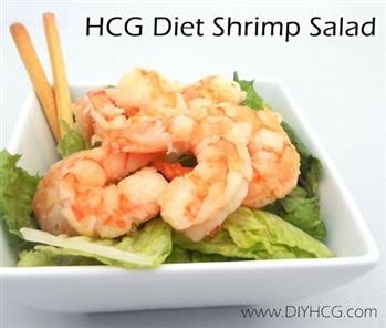 &quot;Hcg Recipes Phase 1 - Dr Simeons Recipes For Hcg Diets