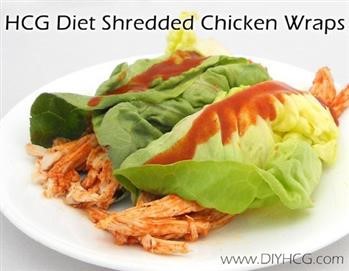 &quot;Recipes For P2 On Hcg Diet Not Losing Weight