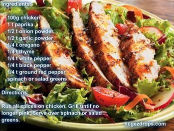 &quot;Hcg Recipes Entrees On Trays